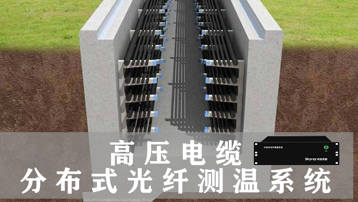 1605601071111194.jpg a14.jpg